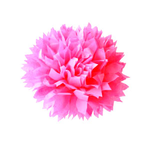 Paper Puff Balls Hot Pink 2pk