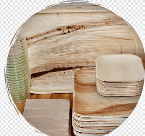 Naturally fallen Palm Leaf Disposable tableware