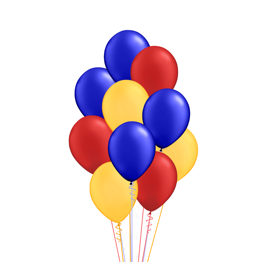 Brisbane Lions Helium Display Geelong Party Supplies